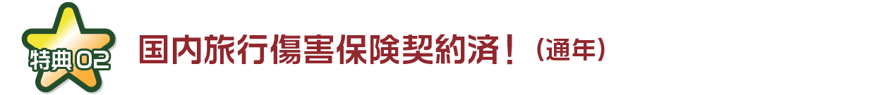 国内旅行傷害保険契約済！（通年）